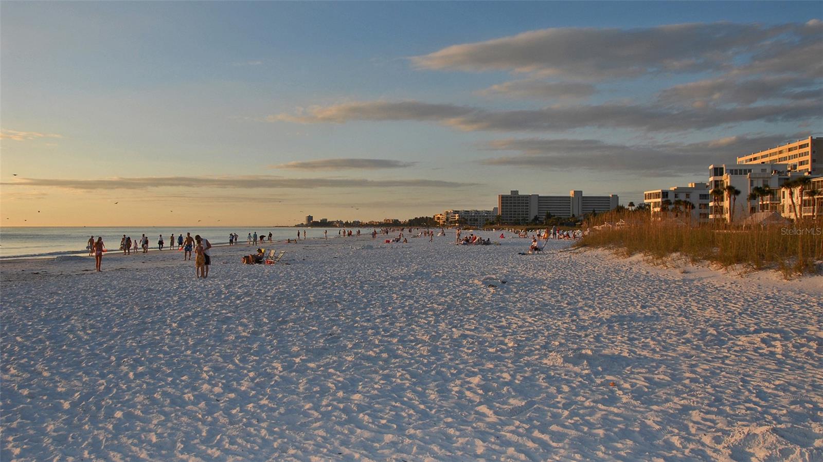 SIESTA DUNES BEACH - Residential