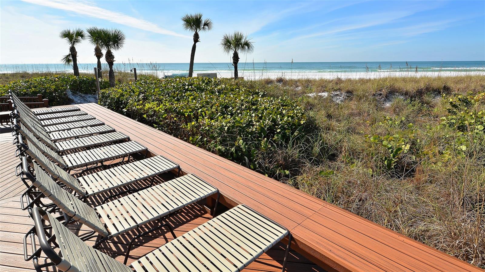 SIESTA DUNES BEACH - Residential