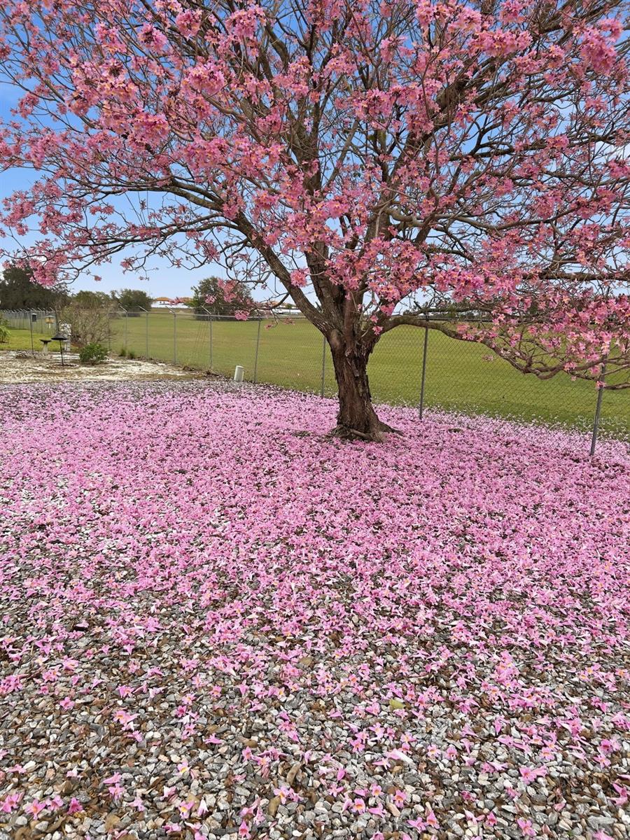 POLO PARK PH 03-B - Residential