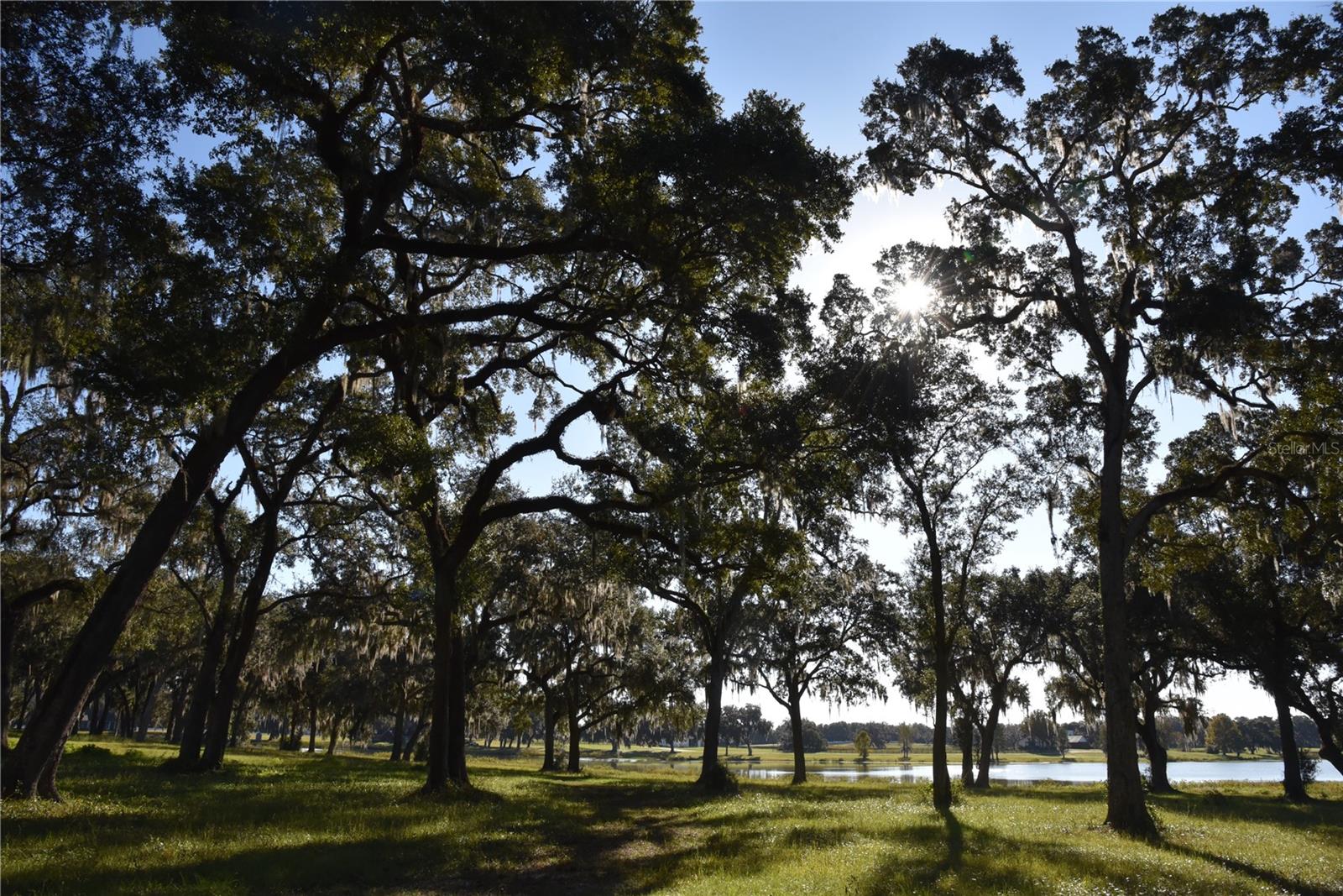 SILVERLEAF HILLS - Land