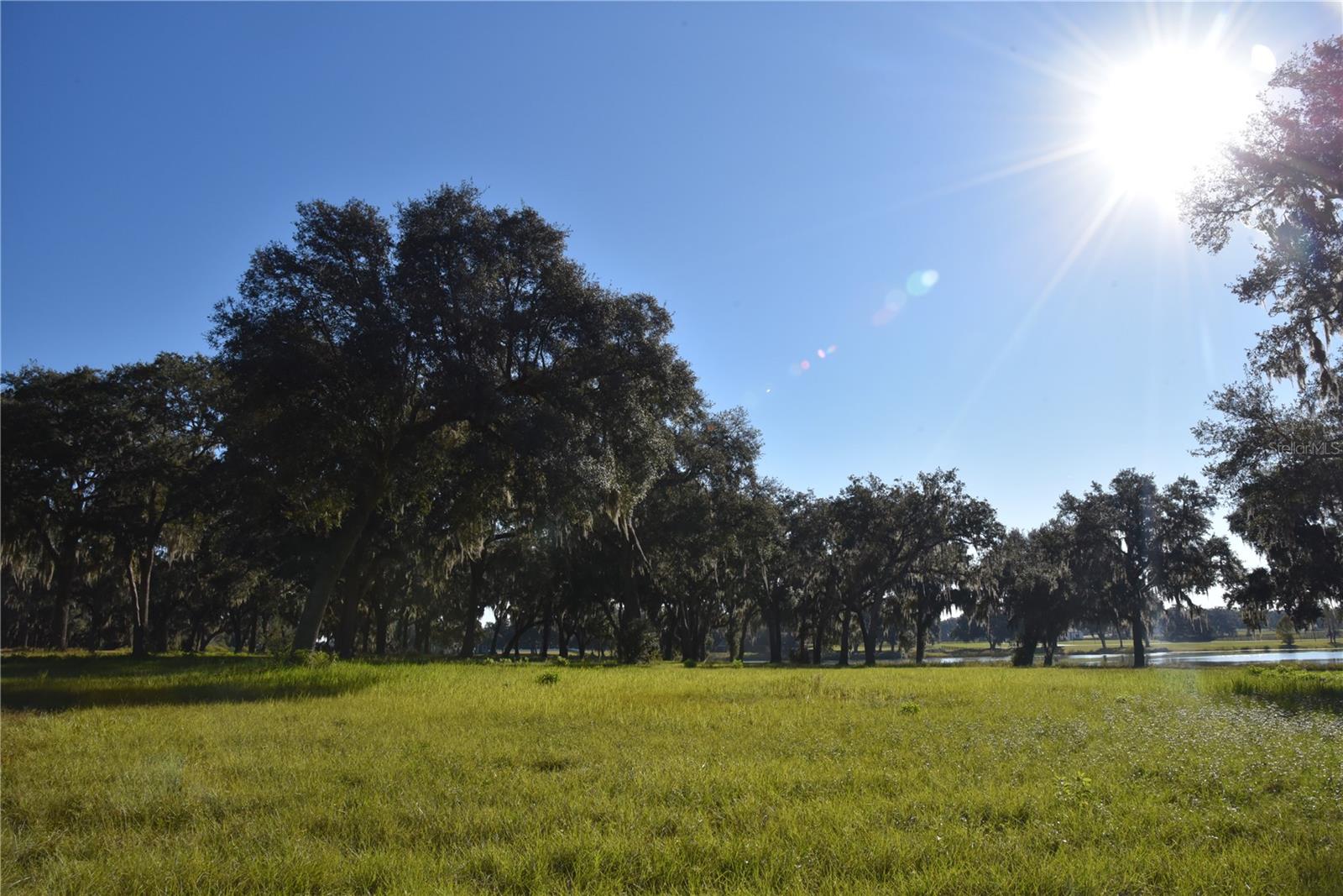 SILVERLEAF HILLS - Land