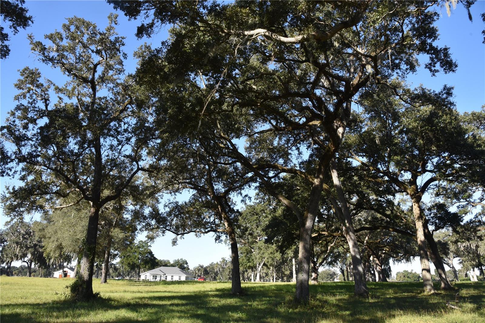 SILVERLEAF HILLS - Land