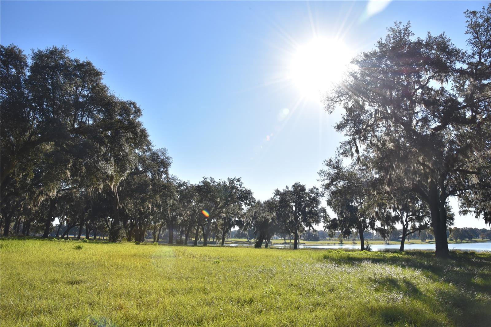 SILVERLEAF HILLS - Land