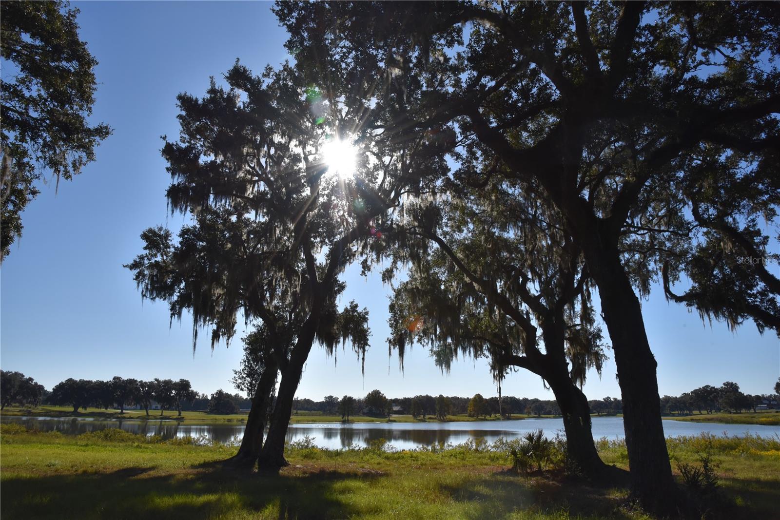 SILVERLEAF HILLS - Land