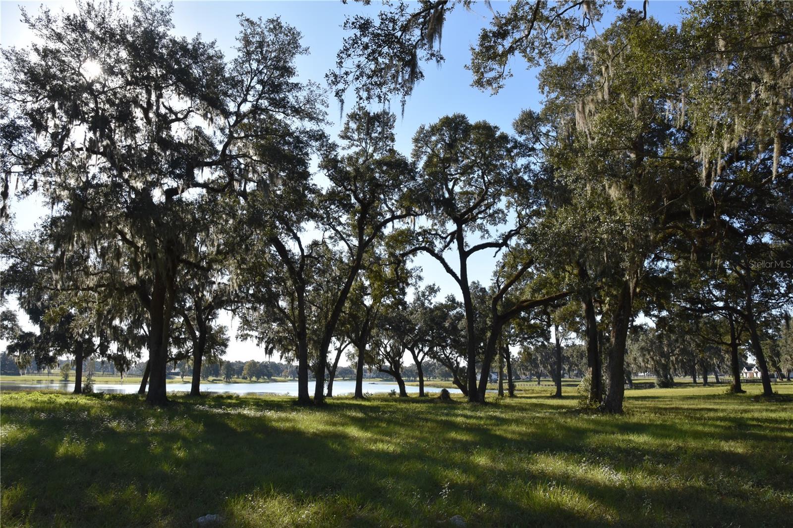 SILVERLEAF HILLS - Land