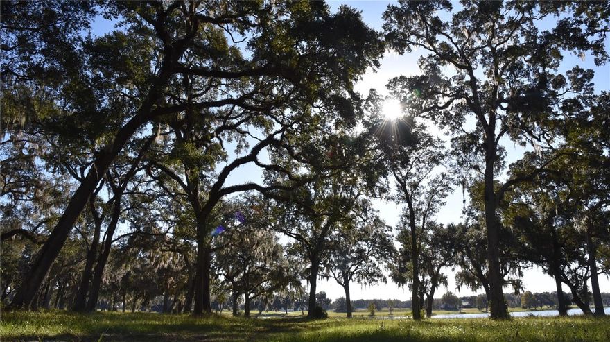 Beautiful waterfront equestrian acreage between Ocala and The Villages, featuring a beautifully set-up waterfront acreage with mature live oaks. Located off Hwy 301 between Ocala and The Villages, just 5 miles from Belleview. This property is situated in a gated equestrian community, offering first-class facilities, including a horse barn and an equestrian training track. Positioned on the west side of a 40-acre lake, enjoy spectacular sunrise views over the water. The property is ideally set up for a future homesite, offering both tranquility and convenience for equestrian enthusiasts. Excellent location with easy access to I-75 (Belleview exit) and the Florida Turnpike (Wildwood exit) for commuting or travel throughout Central Florida. Please call with any questions or to schedule a showing.