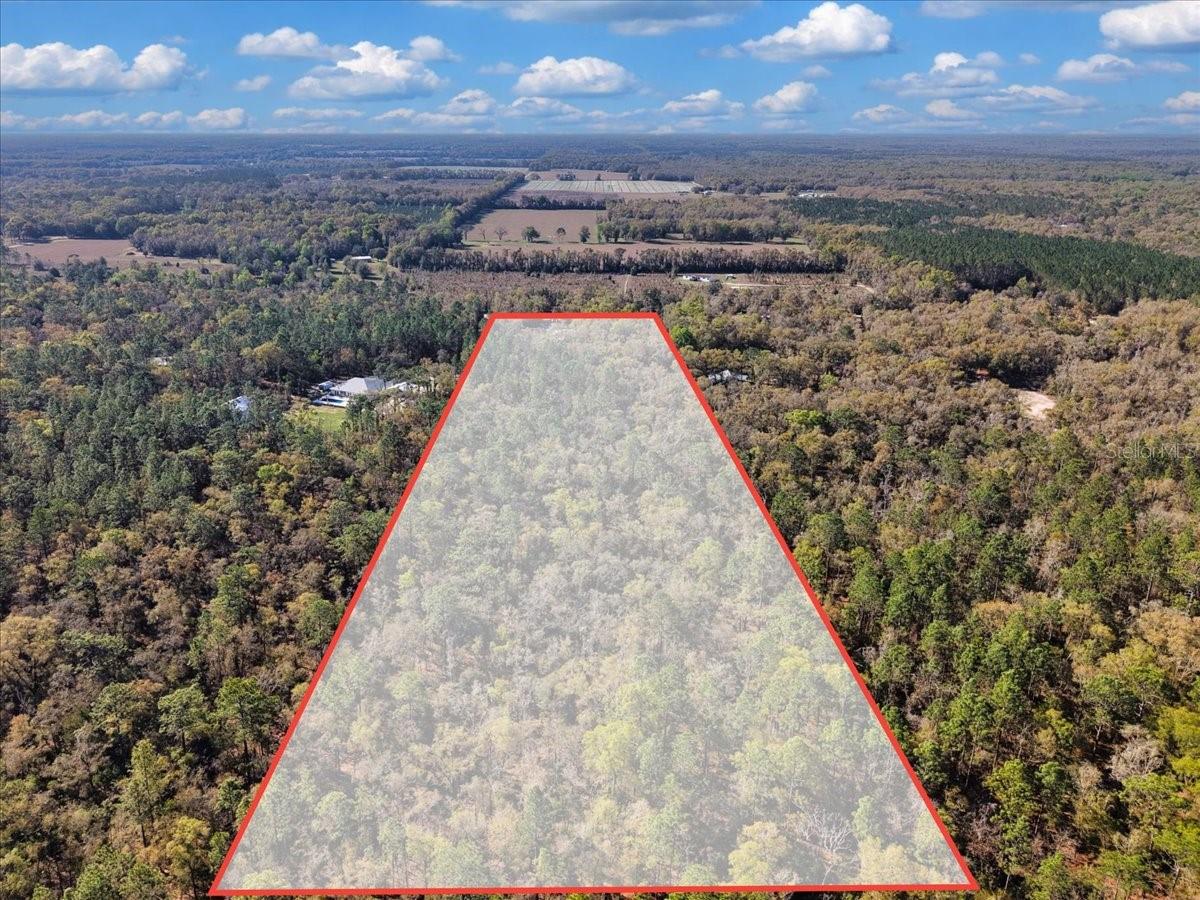 SUWANNEE OAKS SUB - Residential