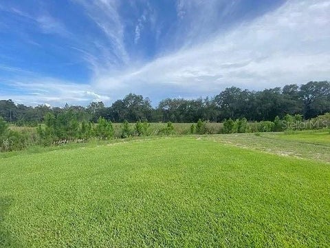 Tiny photo for 3992 Fescue Street, Clermont, FL 34714 (MLS # S5160019)