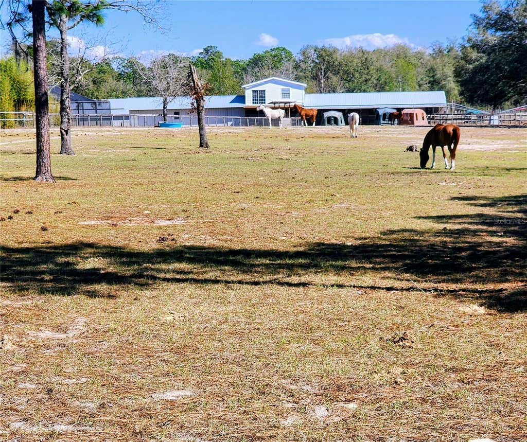Photo of 7 SE 136th Terrace, Dunnellon, FL 34431 (MLS # OM729442)