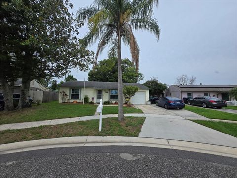 4123 GANDER AVENUE ORLANDO FL 32822
