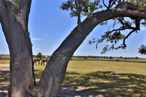 Tiny photo for 7970 SW 140th Avenue, Dunnellon, FL 34432 (MLS # OM700816)