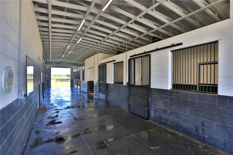 Tiny photo for 7970 SW 140th Avenue, Dunnellon, FL 34432 (MLS # OM700816)