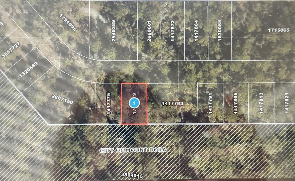 Photo of 34 Wolf Branch Rd, Mount Dora, FL 32757 (MLS # G5110754)