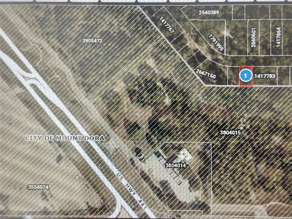 Photo of 34 Wolf Branch Rd, Mount Dora, FL 32757 (MLS # G5110754)