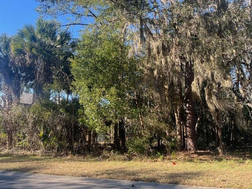 Photo of 1809 SW 29th Street, Ocala, FL 34471 (MLS # OM718240)