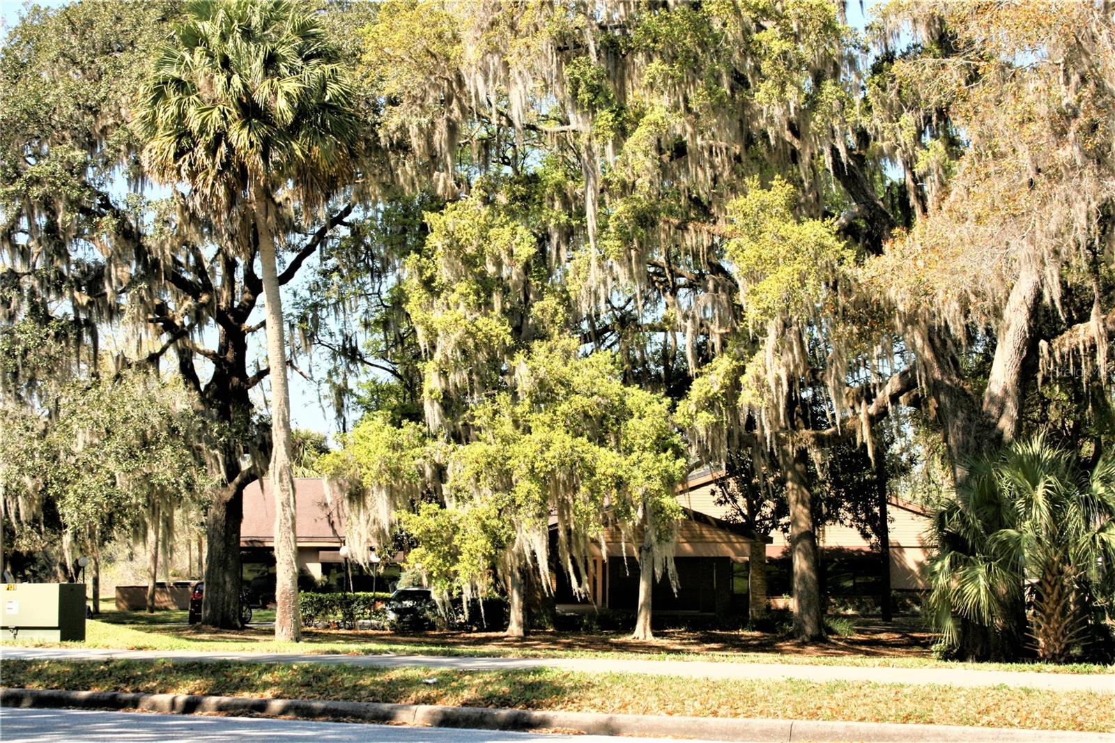 WHITE OAK VILLAGE PH 01 - Land