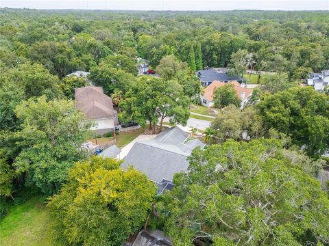 A home in RIVERVIEW