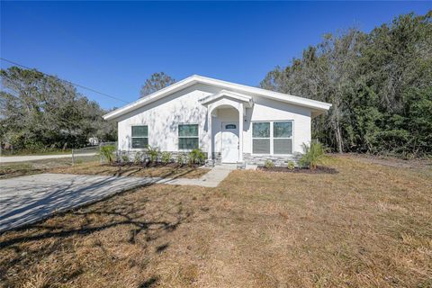 Photo of 3850 SE County Road 760a, Arcadia, FL 34266 (MLS # C7519477)