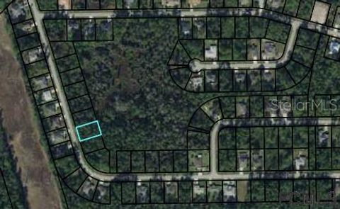 41 SECRETARY TRAIL PALM COAST FL 32164
