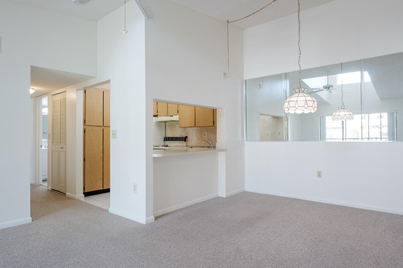 PINE RIDGE AT LAKE TARPON VILLAGE - Residential