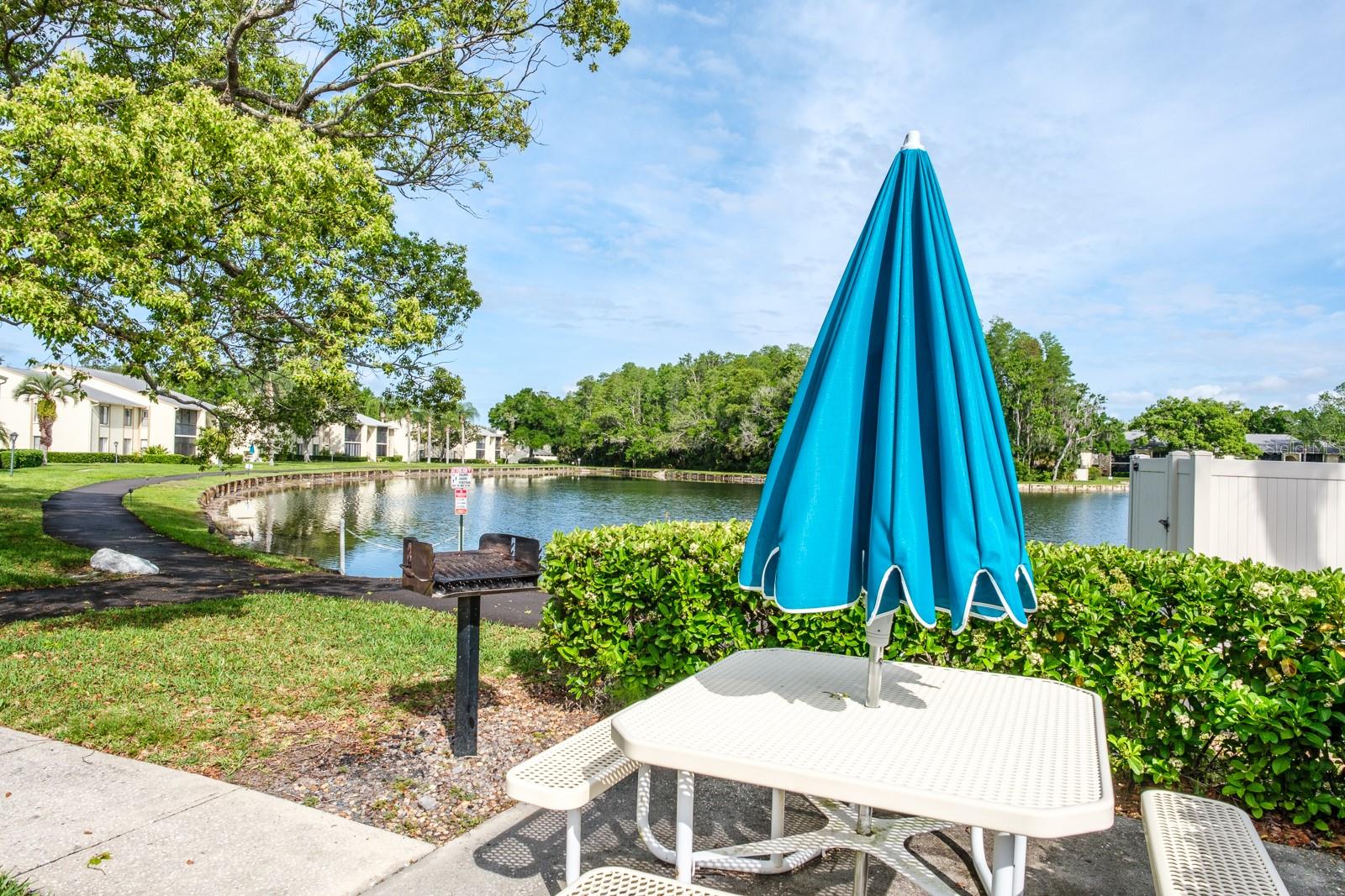 PINE RIDGE AT LAKE TARPON VILLAGE - Residential
