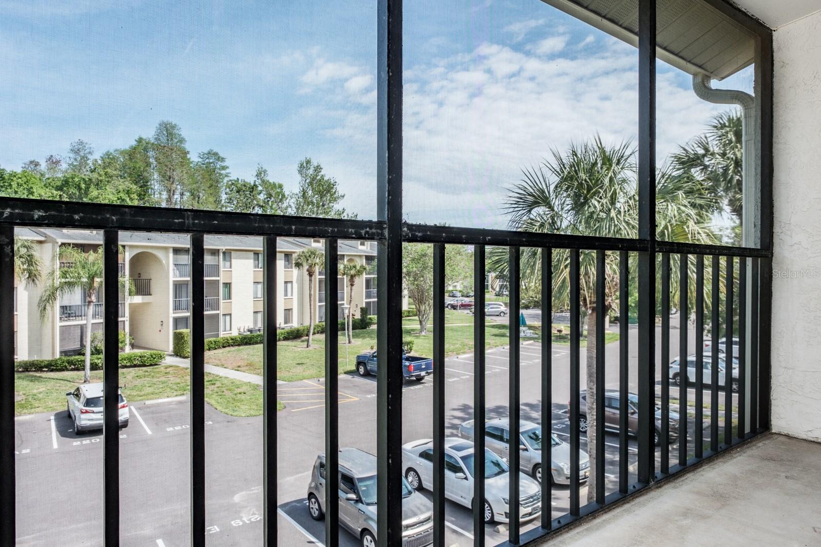 PINE RIDGE AT LAKE TARPON VILLAGE - Residential