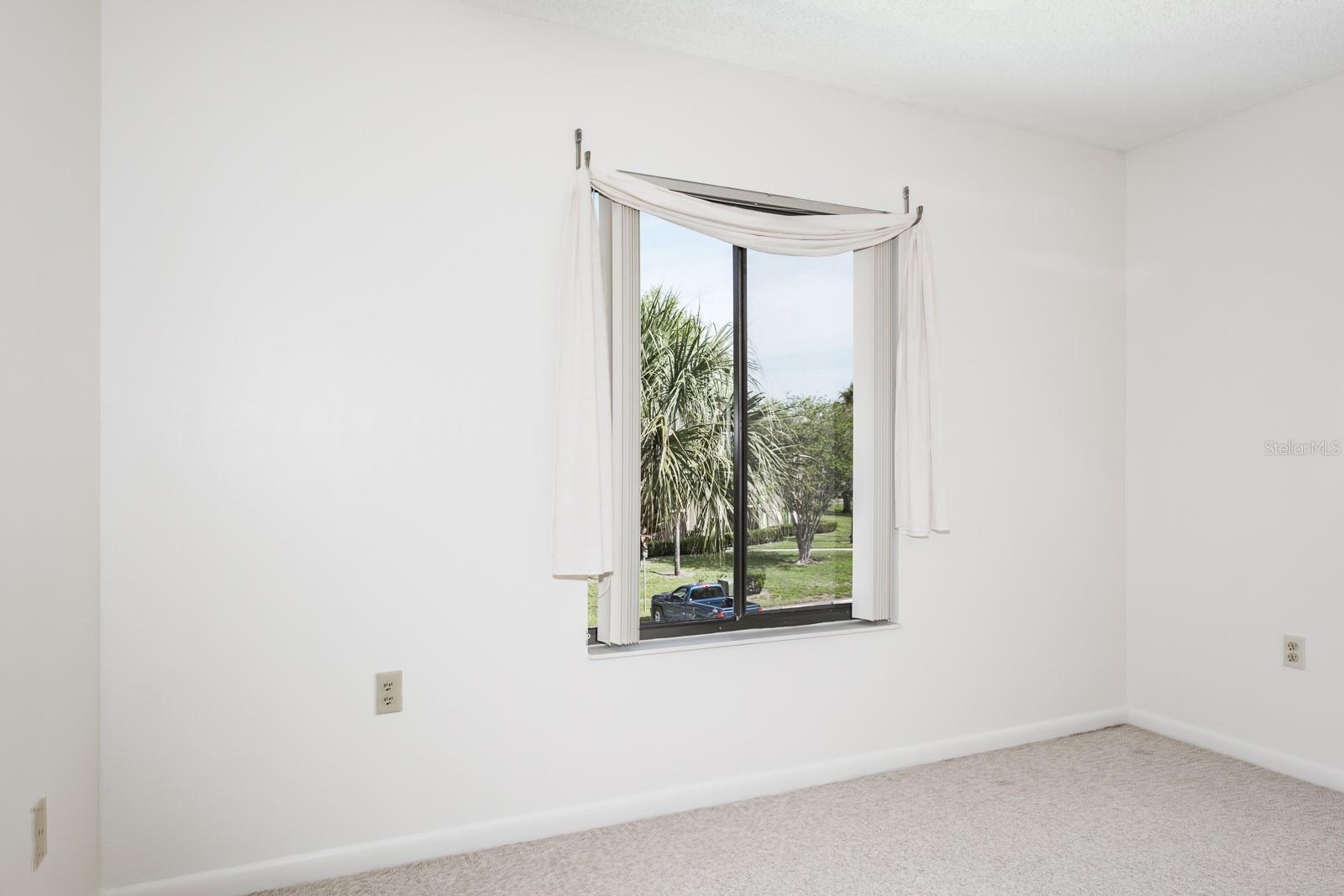 PINE RIDGE AT LAKE TARPON VILLAGE - Residential