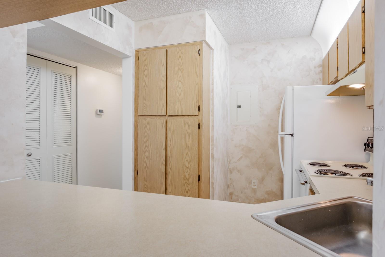 PINE RIDGE AT LAKE TARPON VILLAGE - Residential