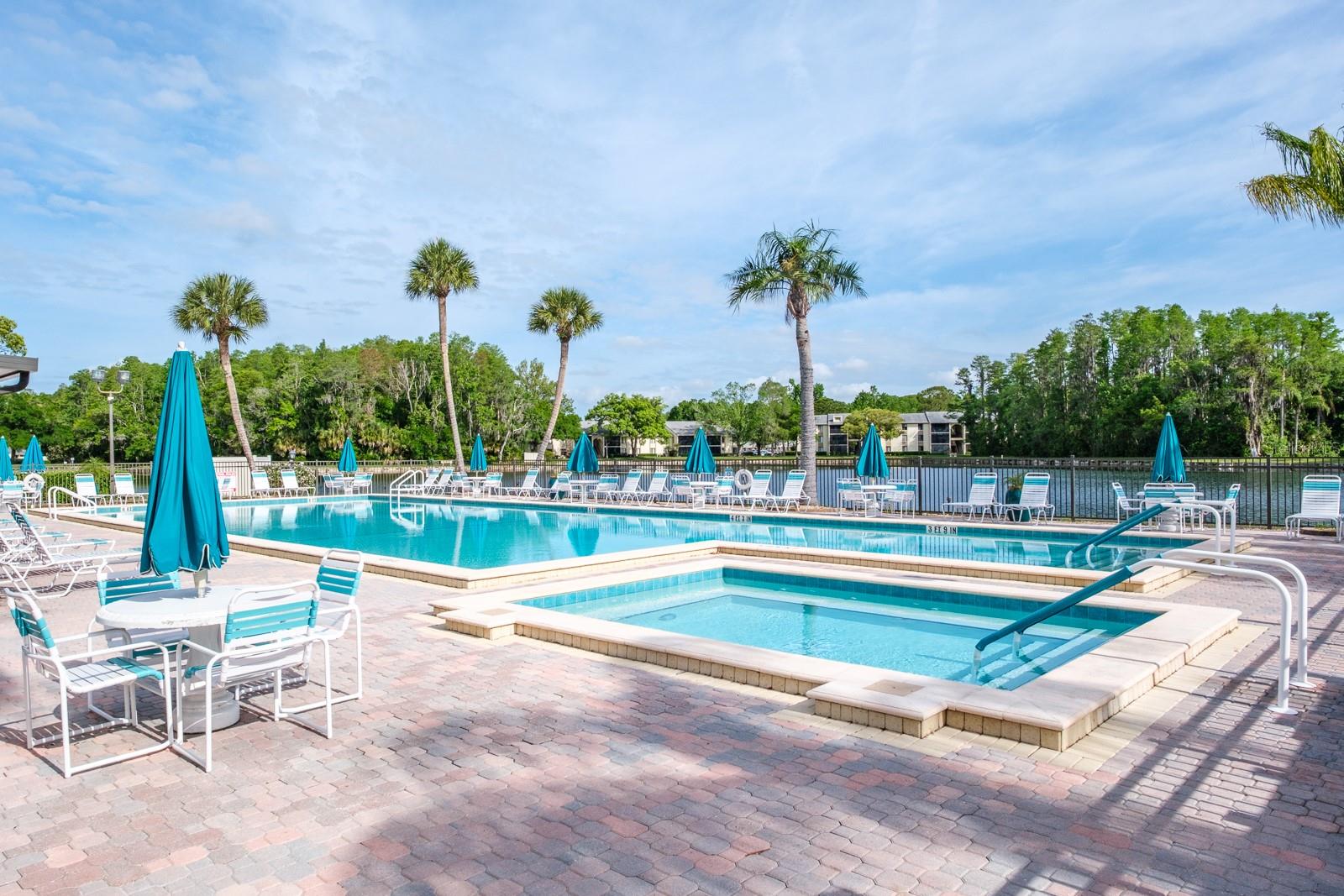 PINE RIDGE AT LAKE TARPON VILLAGE - Residential