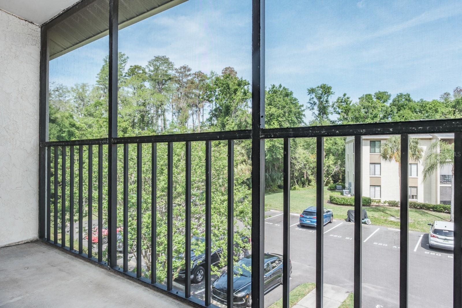 PINE RIDGE AT LAKE TARPON VILLAGE - Residential