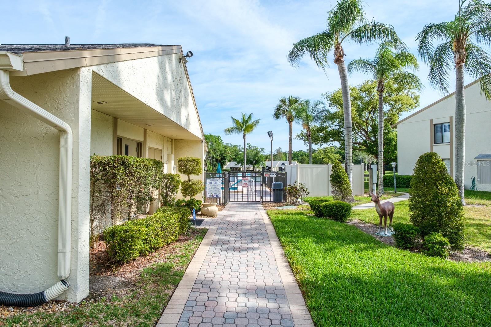 PINE RIDGE AT LAKE TARPON VILLAGE - Residential