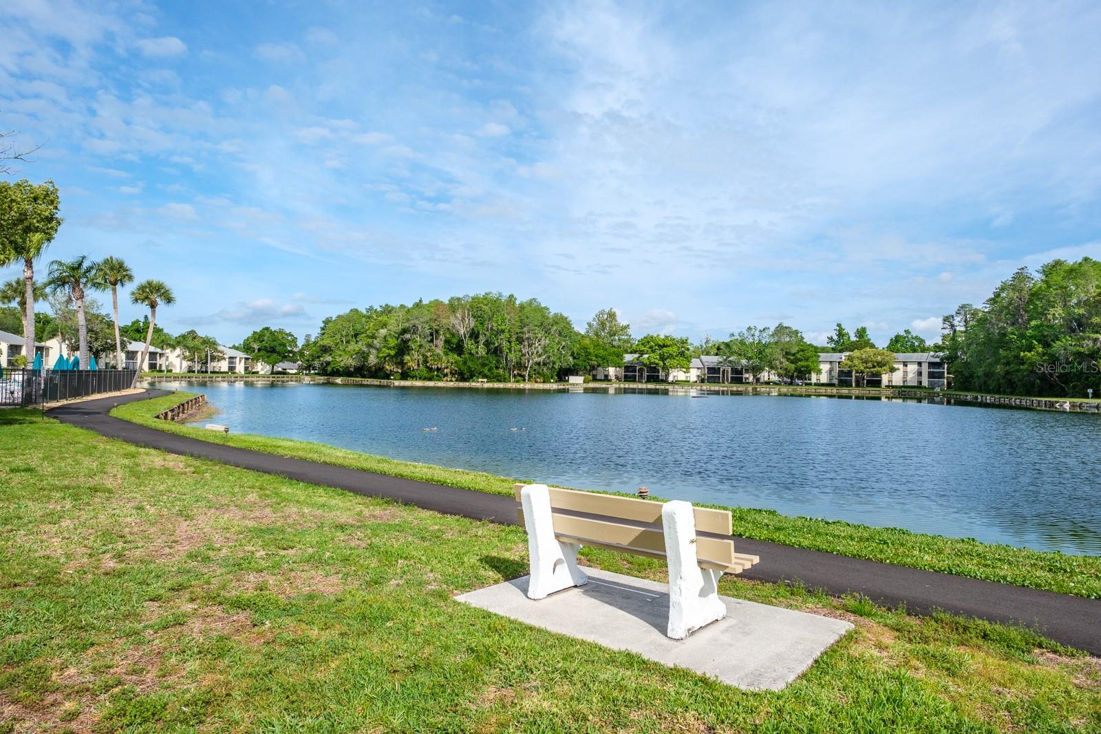 PINE RIDGE AT LAKE TARPON VILLAGE - Residential