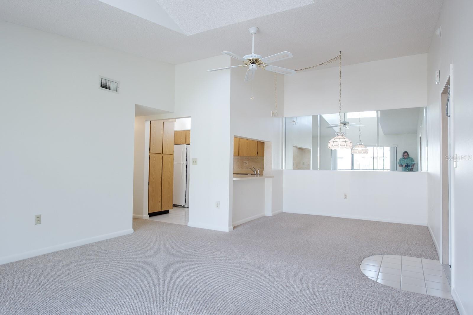 PINE RIDGE AT LAKE TARPON VILLAGE - Residential