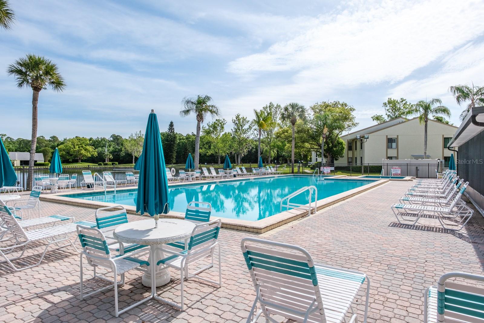 PINE RIDGE AT LAKE TARPON VILLAGE - Residential