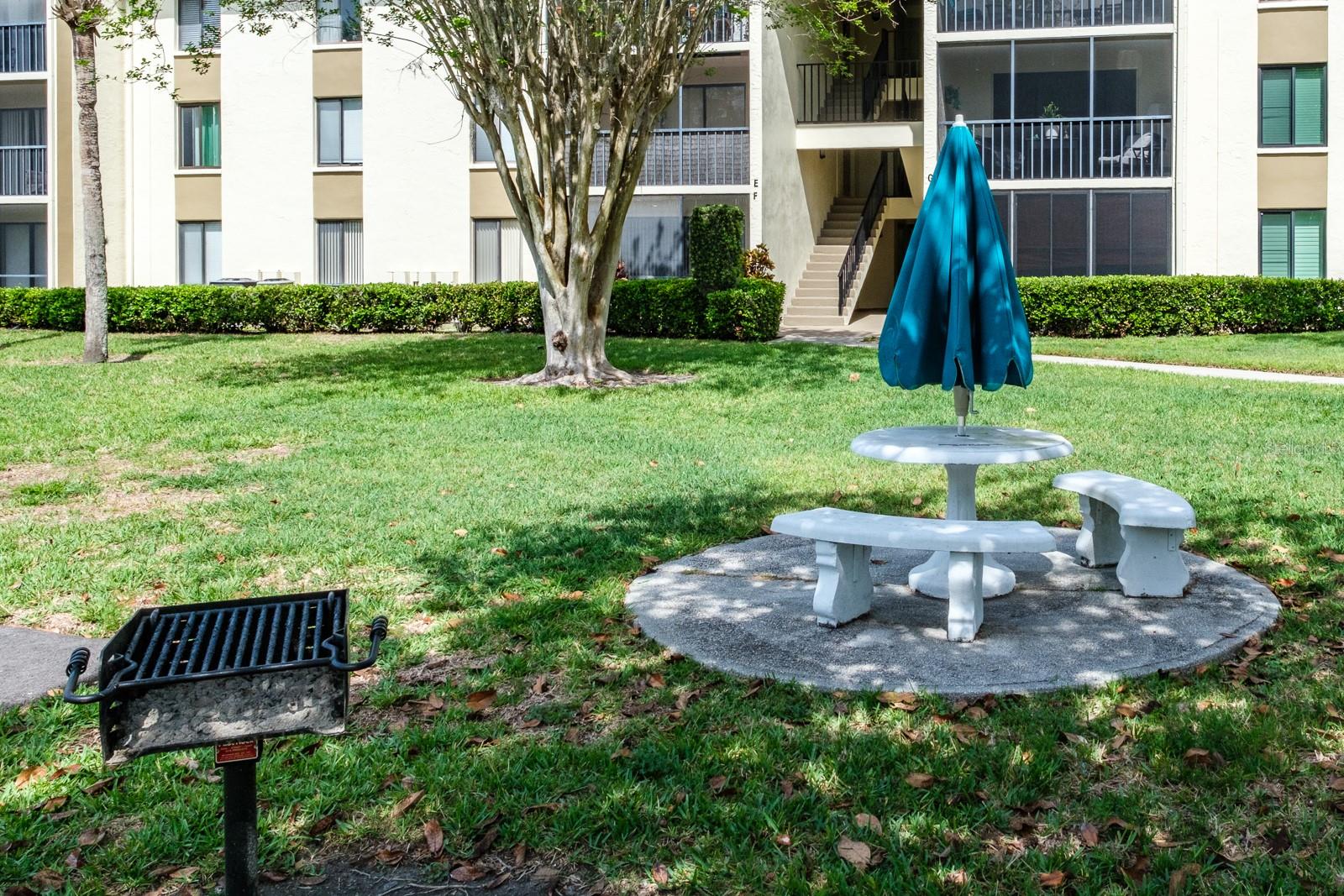 PINE RIDGE AT LAKE TARPON VILLAGE - Residential