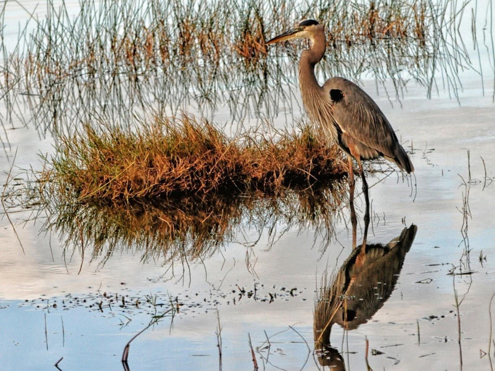 EAST LAKE ESTATES UNIT 01 - Residential