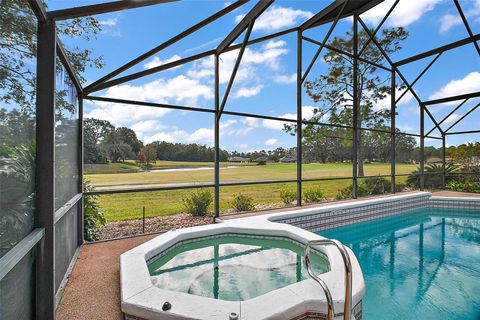 A home in MOUNT DORA