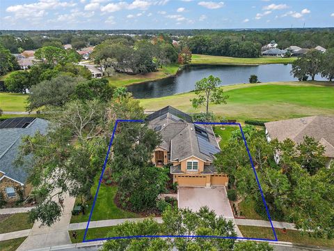 A home in MOUNT DORA