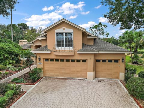 A home in MOUNT DORA