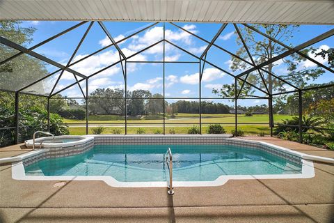 A home in MOUNT DORA