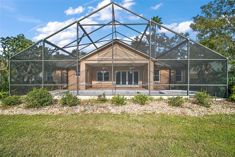 A home in MOUNT DORA