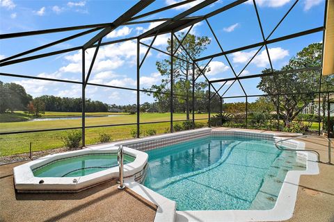 A home in MOUNT DORA