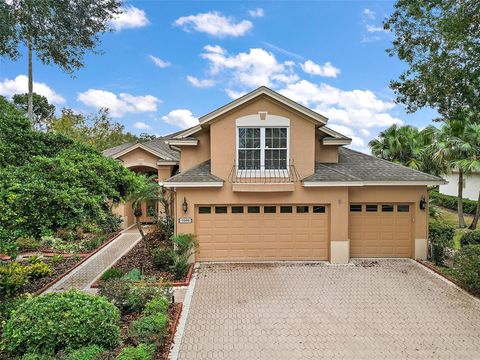 A home in MOUNT DORA