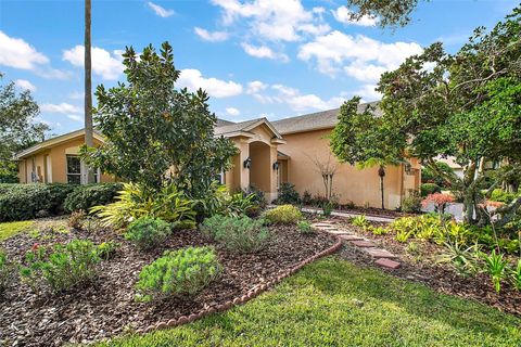 A home in MOUNT DORA