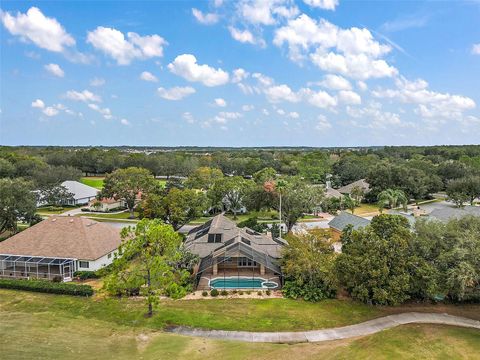 A home in MOUNT DORA