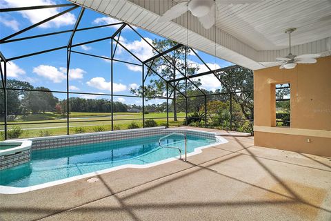 A home in MOUNT DORA