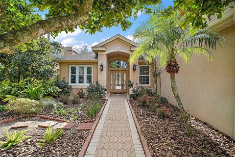 A home in MOUNT DORA