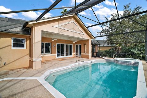 A home in MOUNT DORA