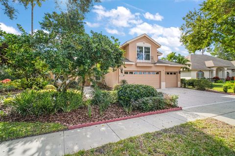 A home in MOUNT DORA