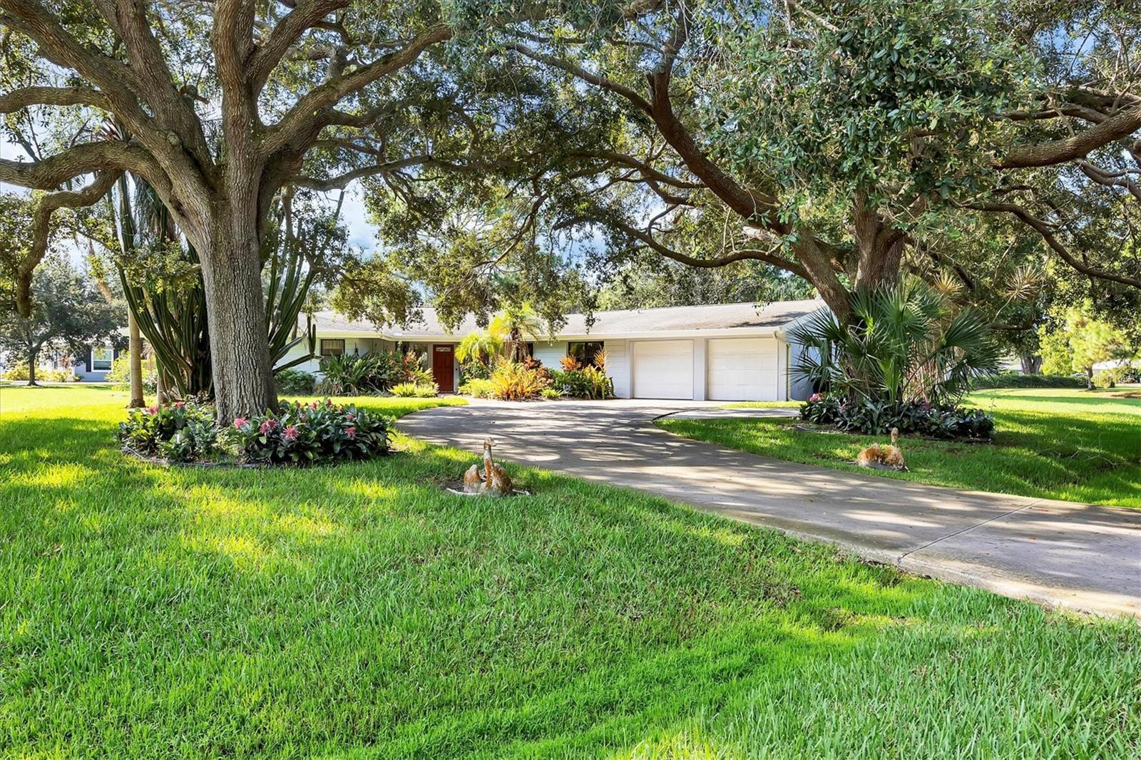 3010 E FOREST LAKE DRIVE